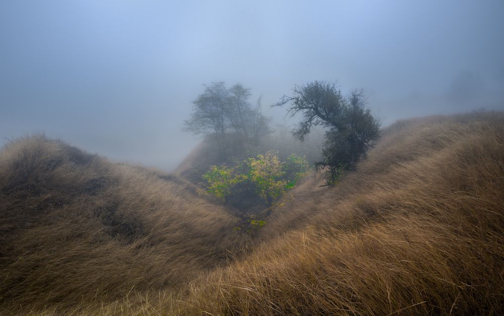 Photograph by Сергей Воробьев