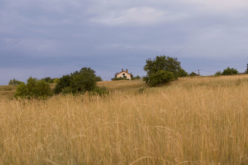 Photograph by Nataliia Nedelina