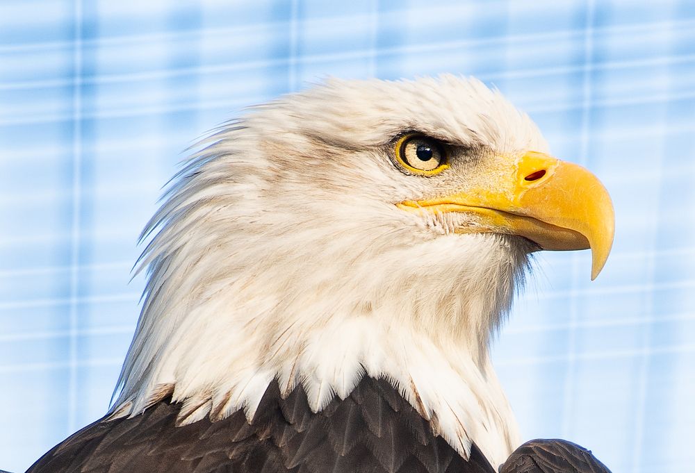 Photograph by Юлия Борт