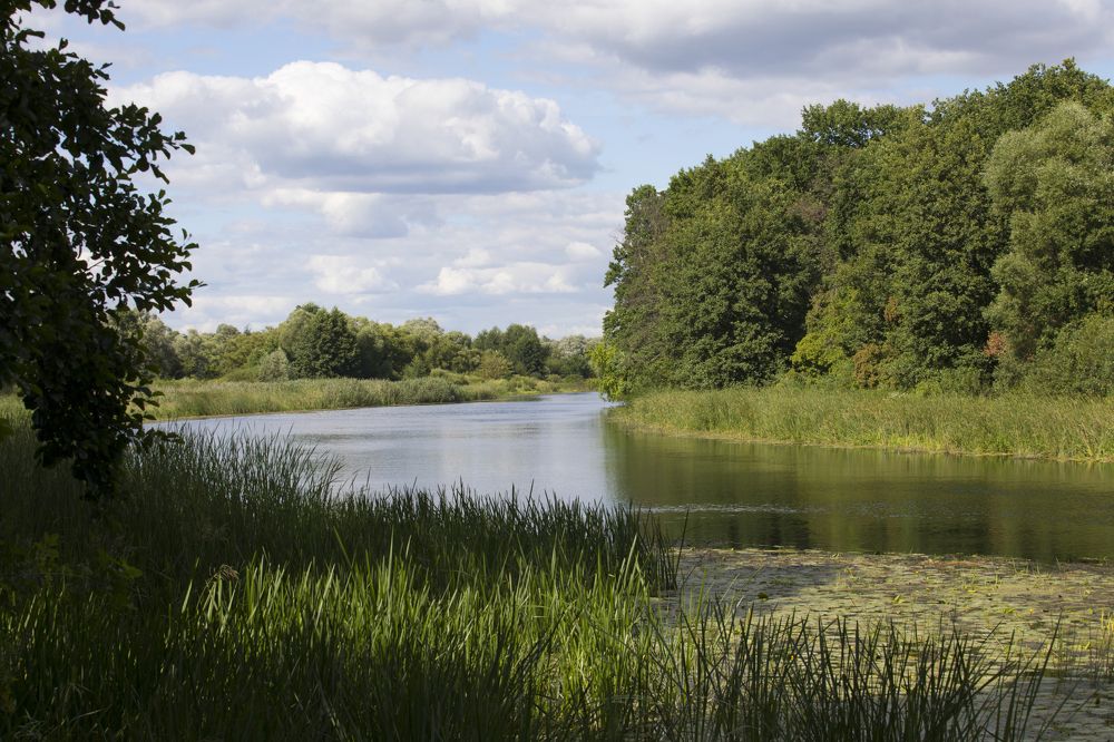 Photograph by Nataliia Nedelina