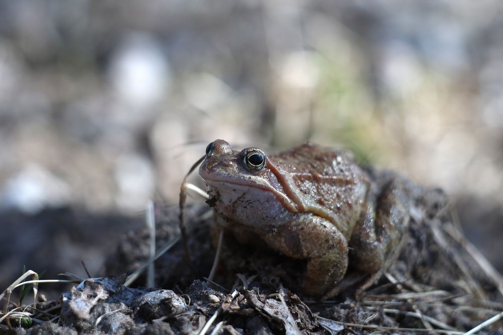 Photograph by Наталья Комарова