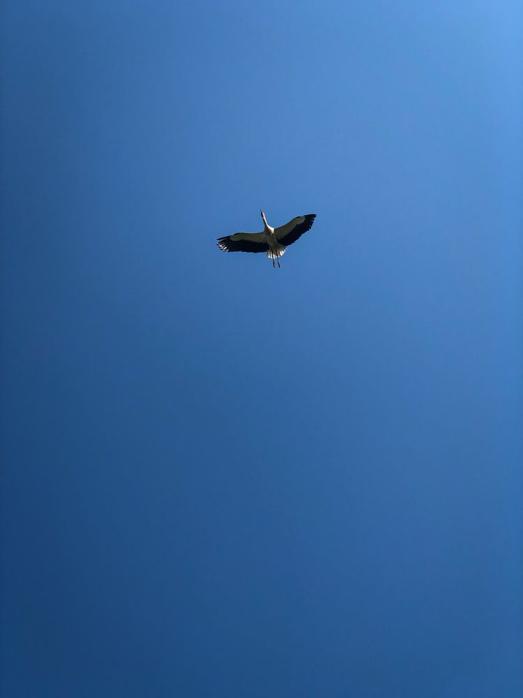 Фотография автора Алиса Чурчудесная