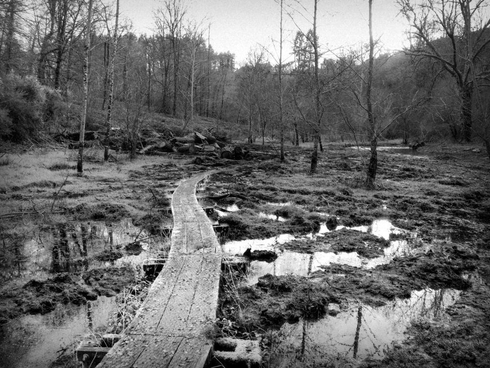 Photograph by Inna Burdikova