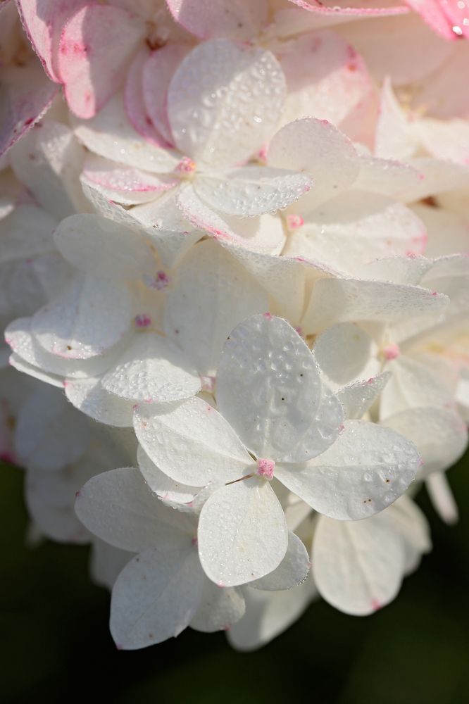 Фотография автора Алексей Попов