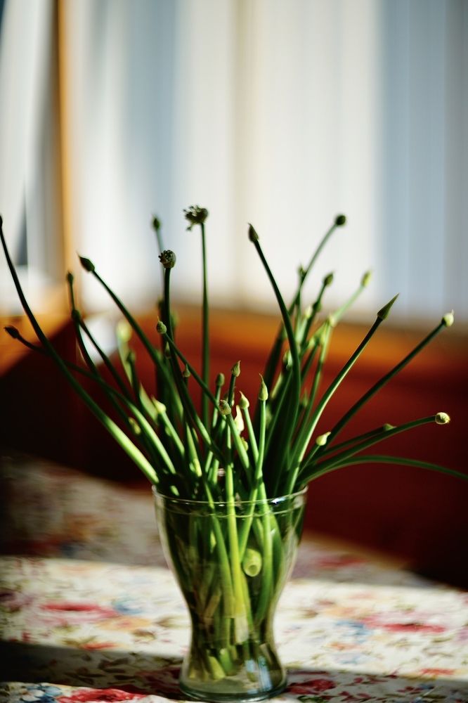 Фотография автора Алиса Чурчудесная