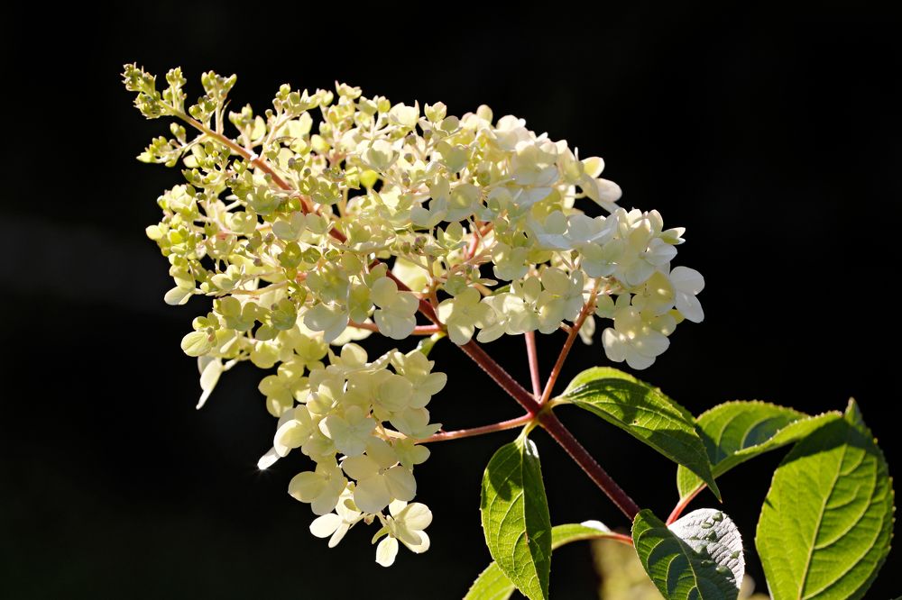 Фотография автора Алексей Попов
