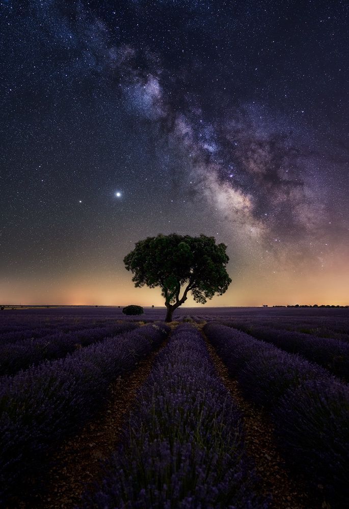 Photograph by Juan Yelin