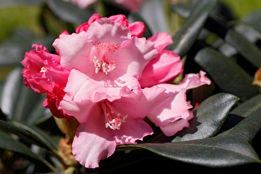 Фотография автора Алексей Попов