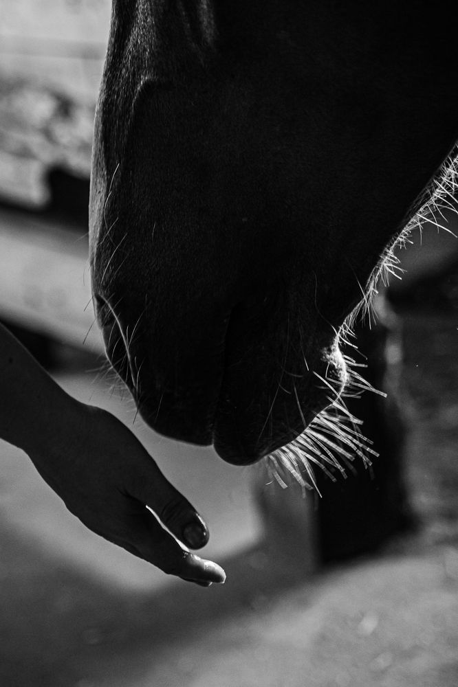 Photograph by Надежда Рачева