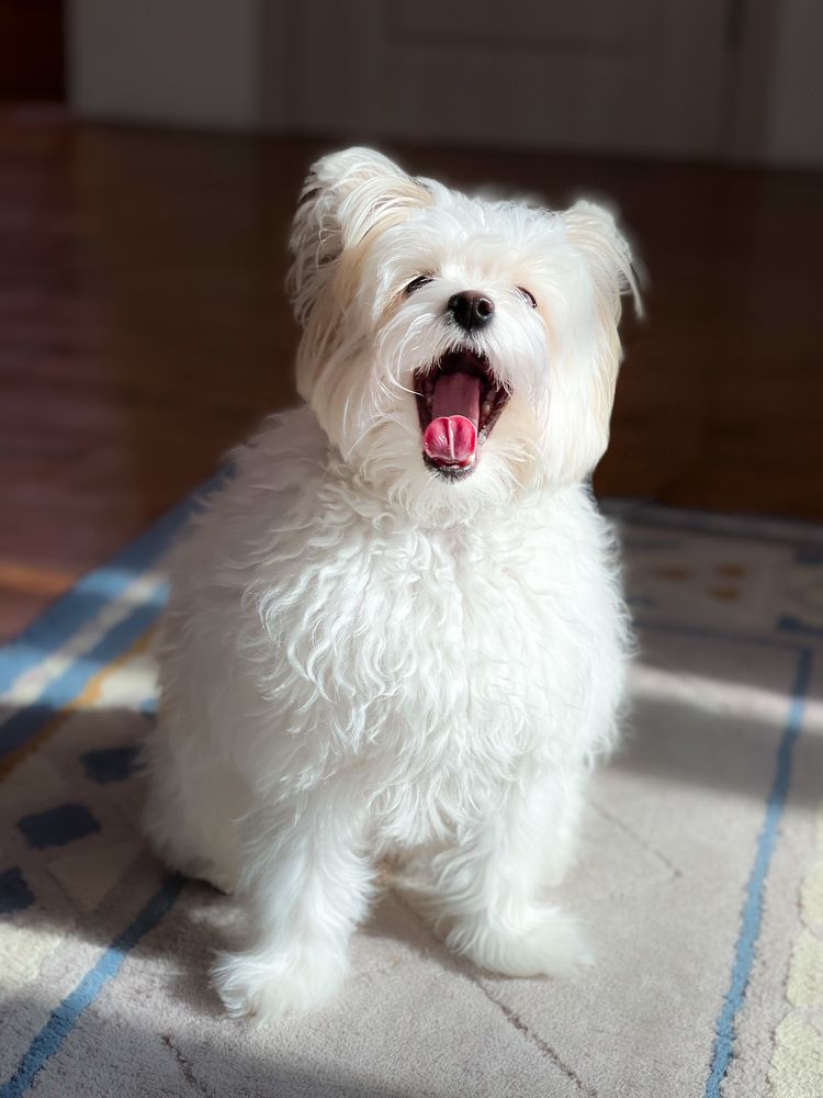 Фотография автора Алиса Чурчудесная