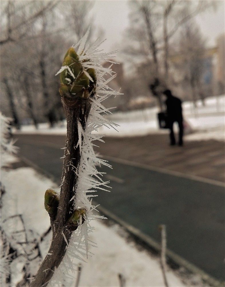 Фотография автора Владислава Андрюнина