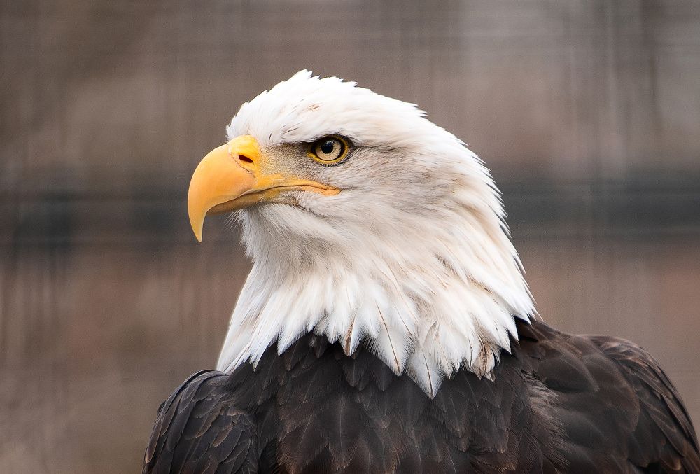 Photograph by Юлия Борт