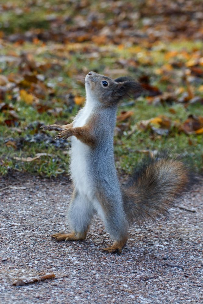 Photograph by Родион