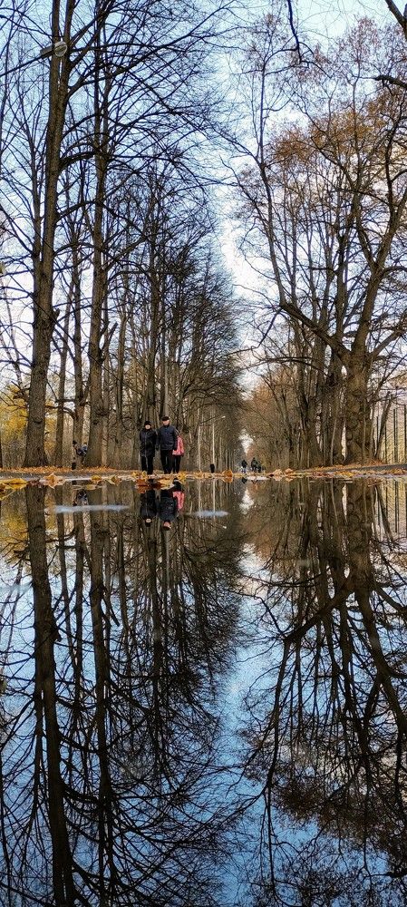 Photo #5902116