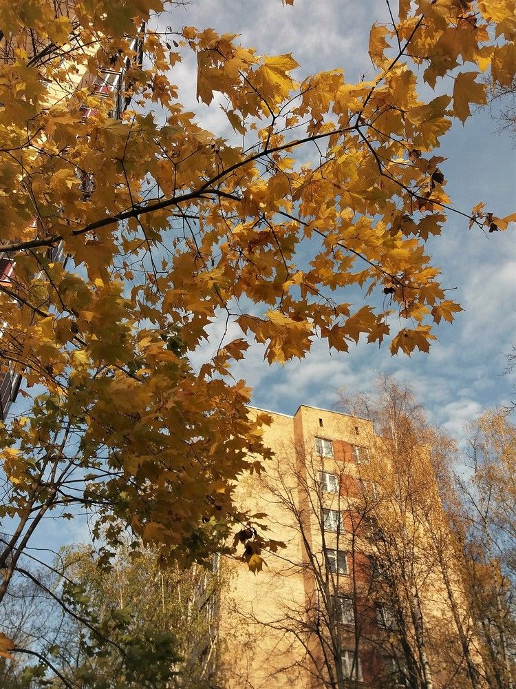 Фотография автора Владислава Андрюнина