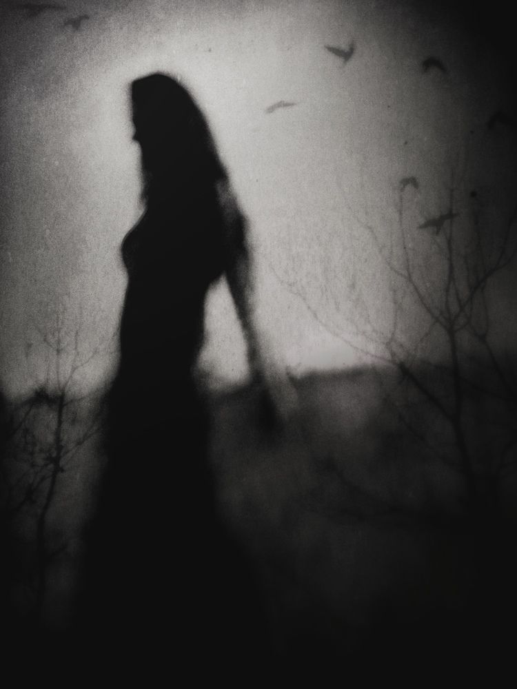 Photograph by Paul Suciu