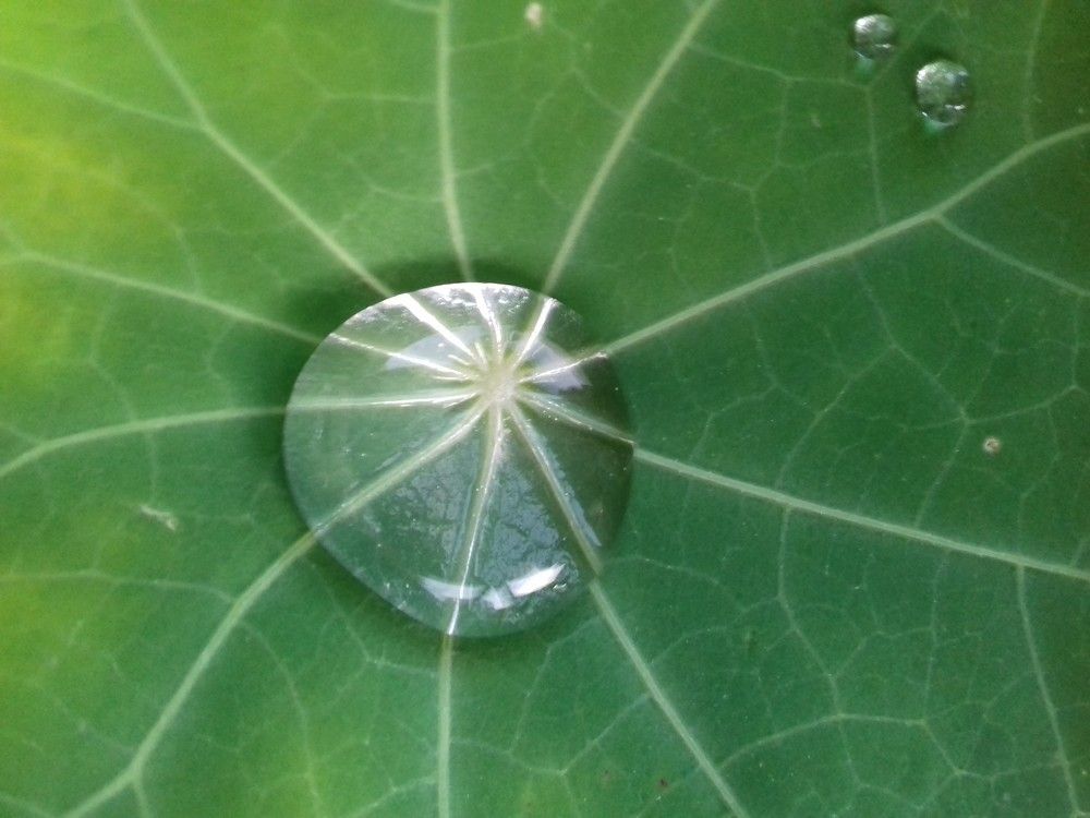 Фотография автора Владислава Андрюнина