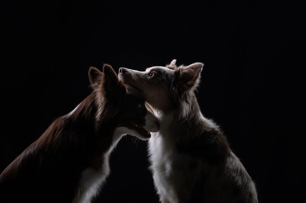 История одних отношений