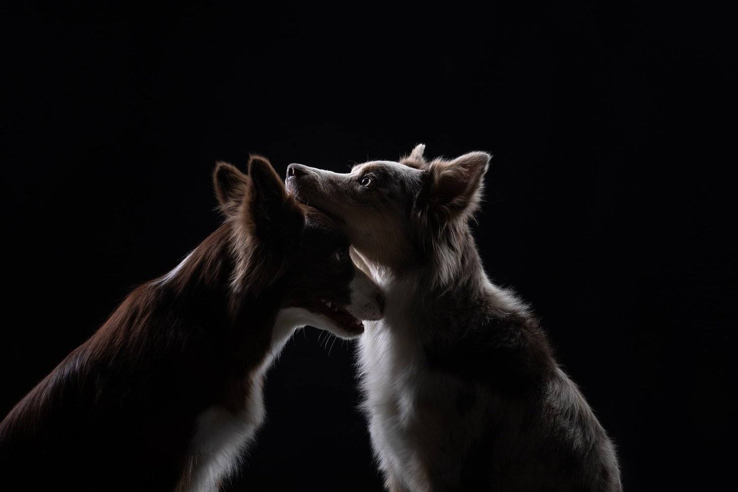 История одних отношений