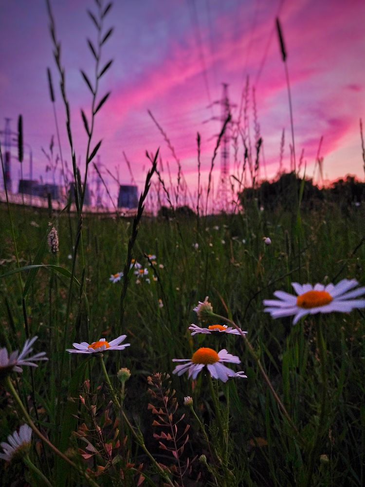 Photograph by Миллена Неро