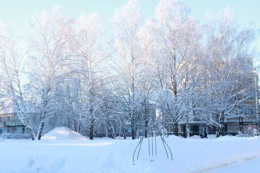 Зимняя мелодия