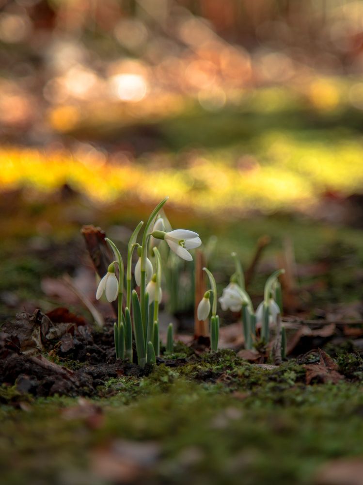 Photograph by Наталья Брюхненко