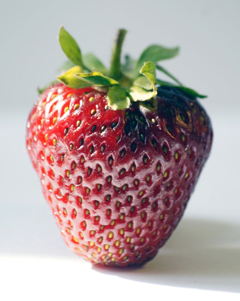 Photograph by Юля Хатыпова