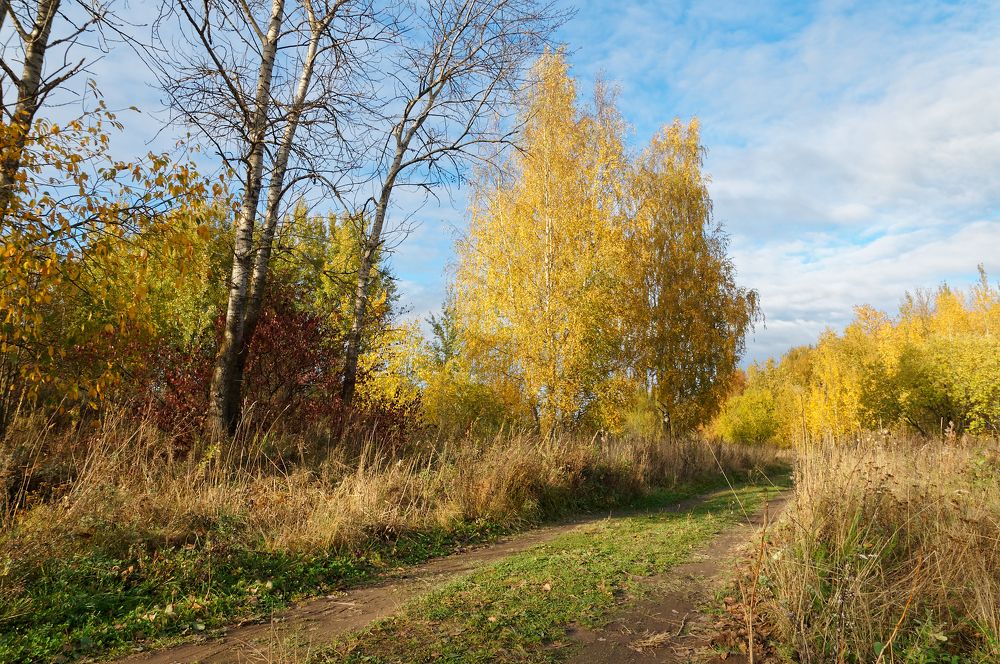 Фотография автора Ярослав Калегин