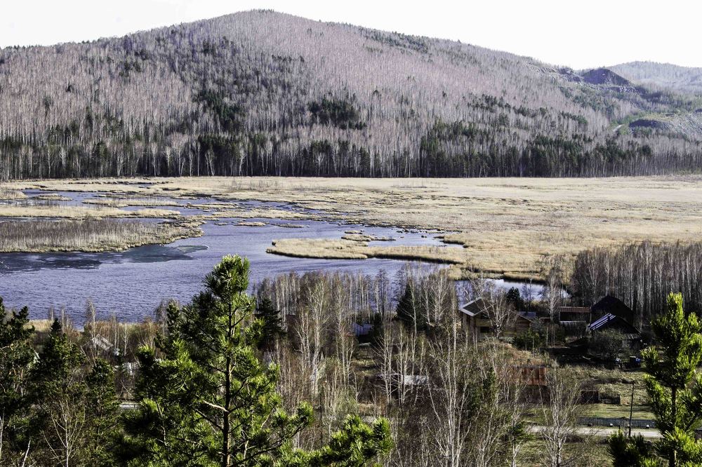 Photograph by Светлана Крон