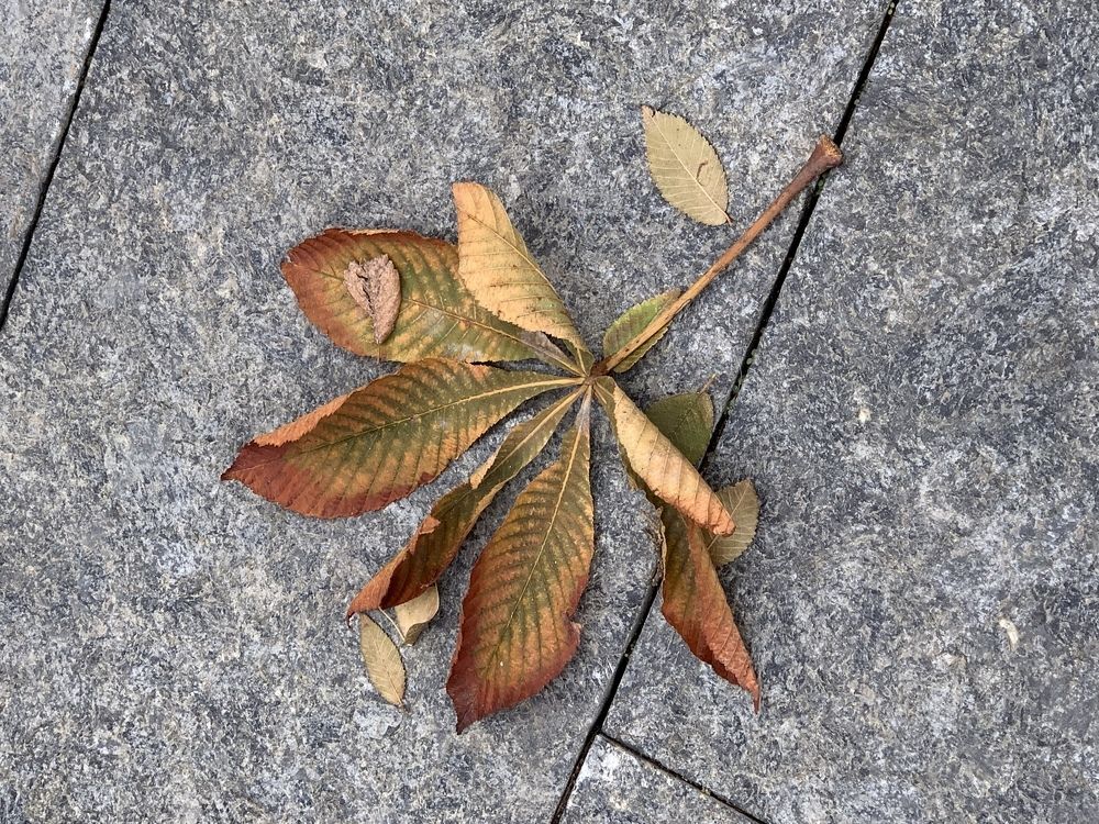 Photograph by Полина Галянина