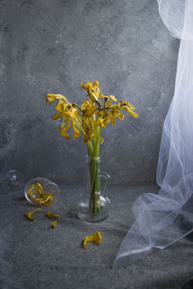 Photograph by Лилия Малиновская