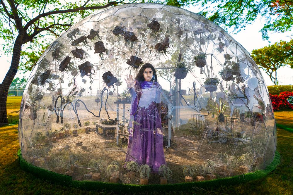 Photograph by Nifiba