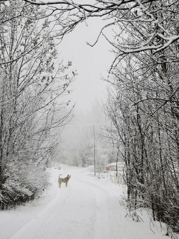 Черно-белое настроение