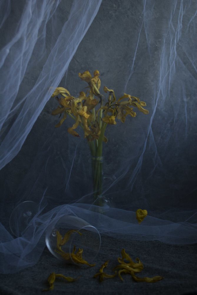 Photograph by Лилия Малиновская