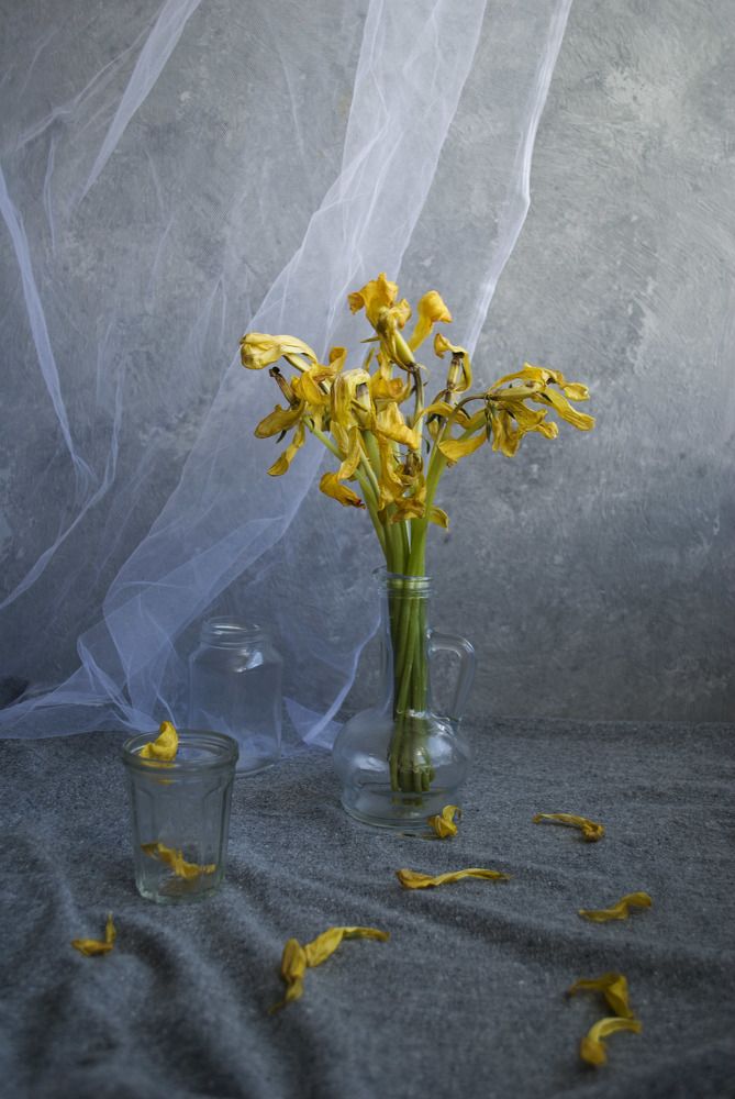 Photograph by Лилия Малиновская