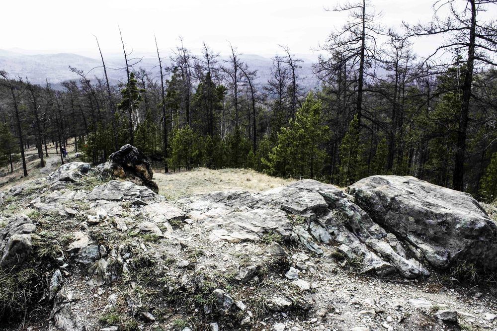 Photograph by Светлана Крон