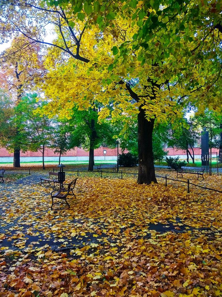 Photograph by Олександр