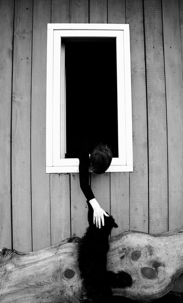 Photograph by Светлана