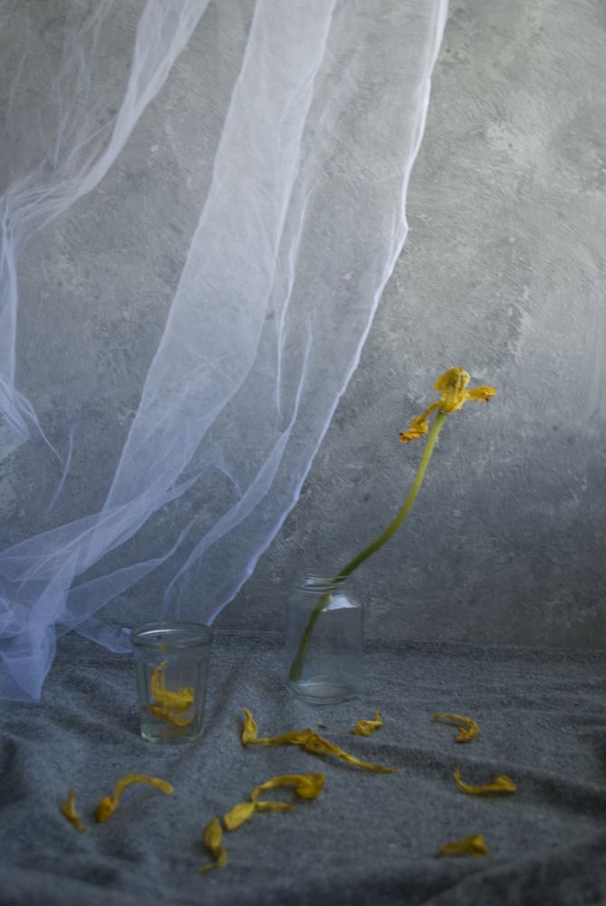 Photograph by Лилия Малиновская