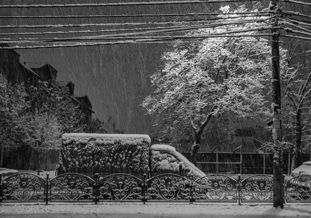 Photograph by Дмитрий Фисенко