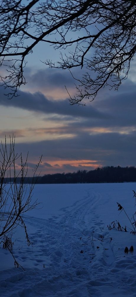 Photograph by Анна Исаева