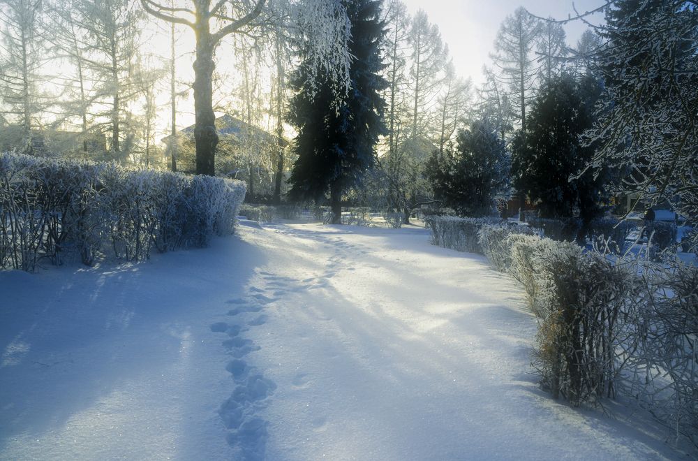-37 градусов по Цельсию
