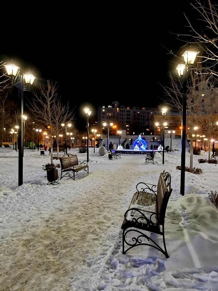 Морозный вечер в сквере