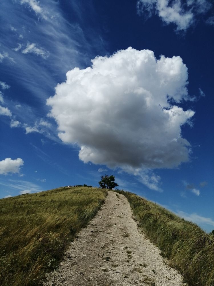 Photograph by Лариса