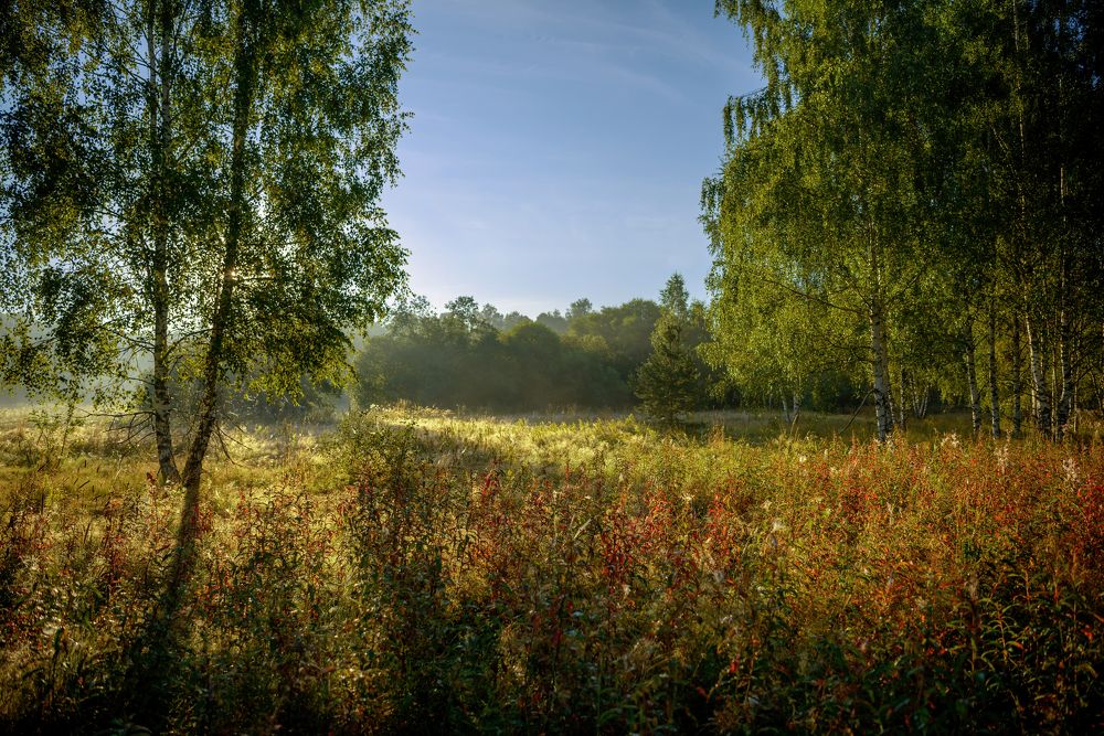 Фотография автора Евгений Чуканов