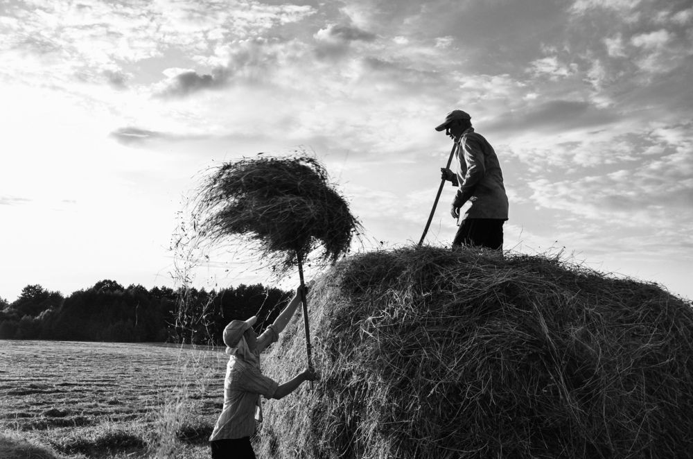 На сенокосе