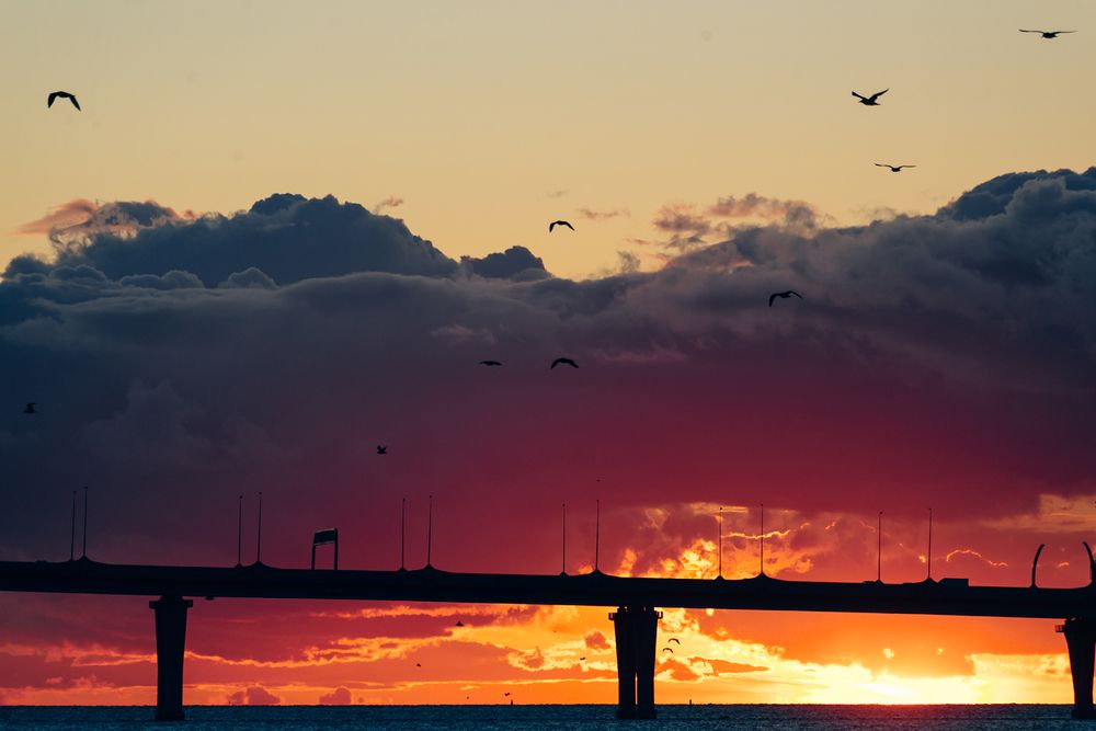 Photograph by Марина Петухова