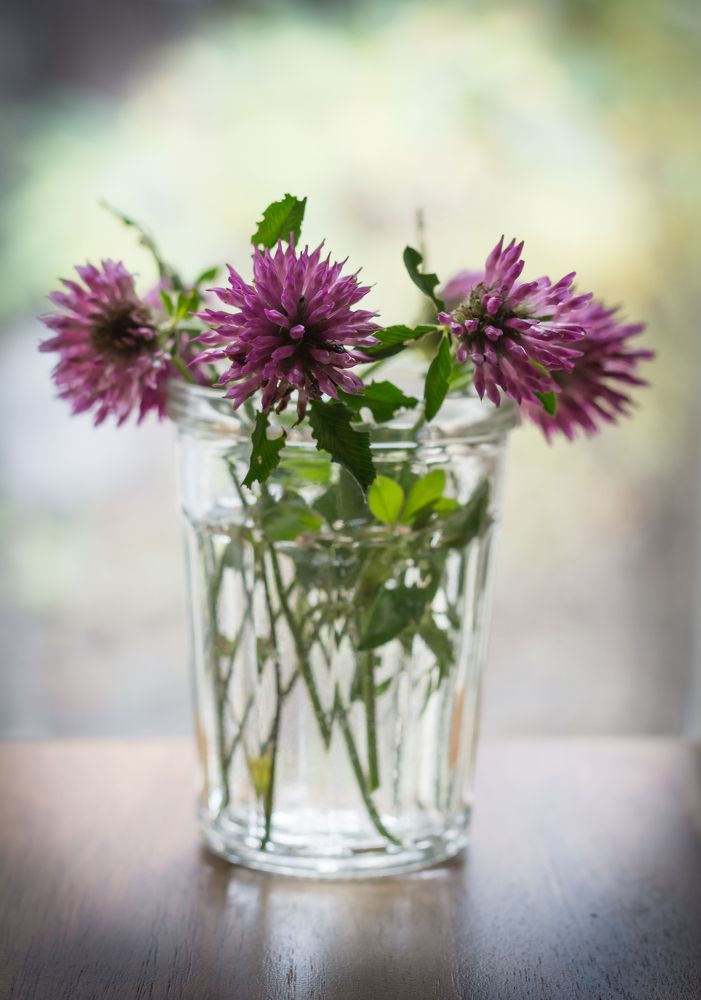 Photograph by Александр Руцкой