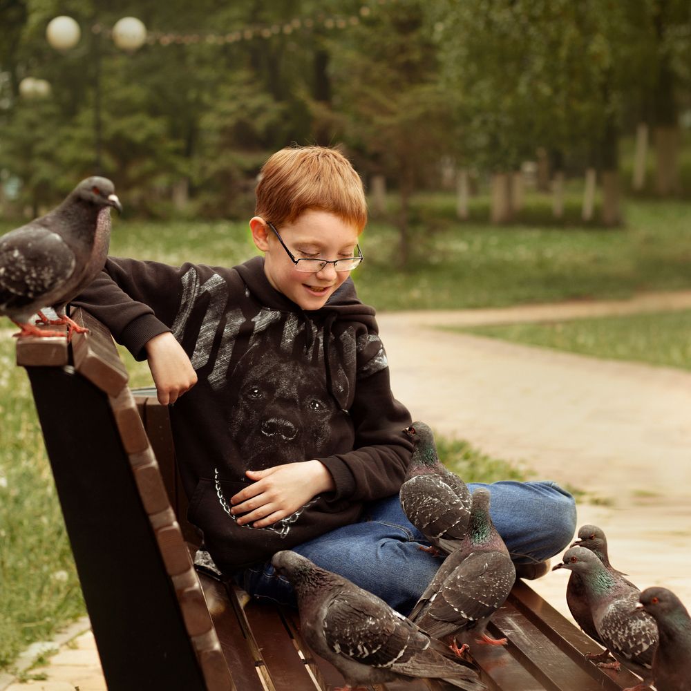 Пандемия 2020г... Изголодавшиеся голуби.