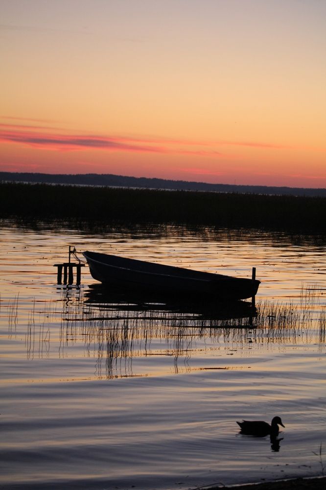 Photograph by Ольга Иртуганова